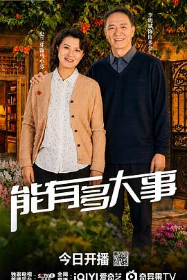能有多大事-剧集封面