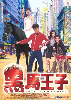 黑马王子[电影解说]-电影封面