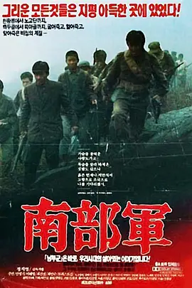 南部军[电影解说]-电影封面