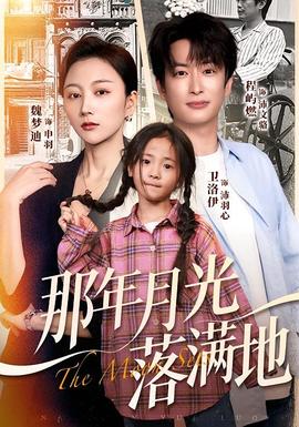 那年月光落满地-影视封面