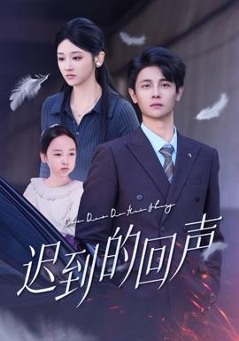 迟到的回声-影视封面