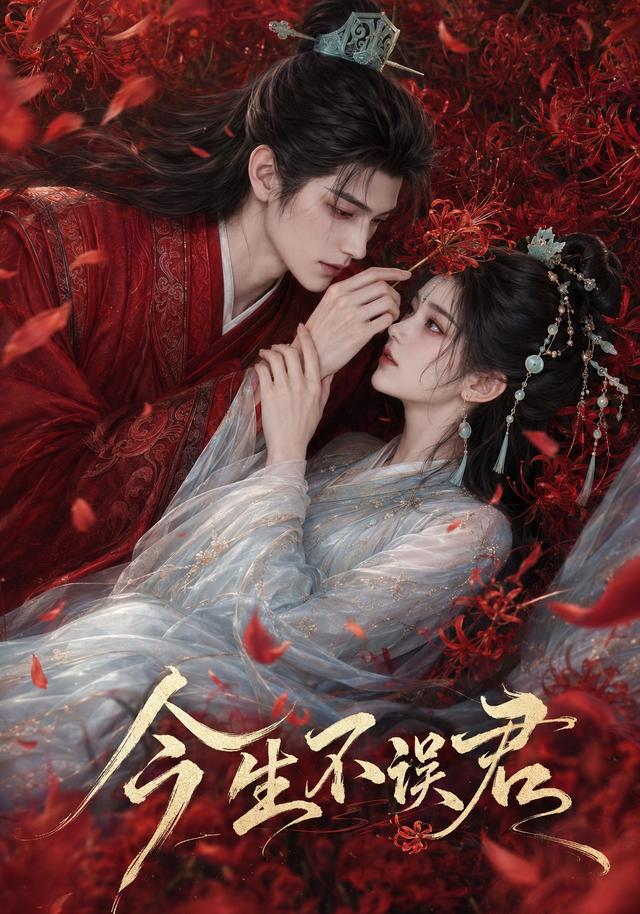 今生不误君-剧集封面